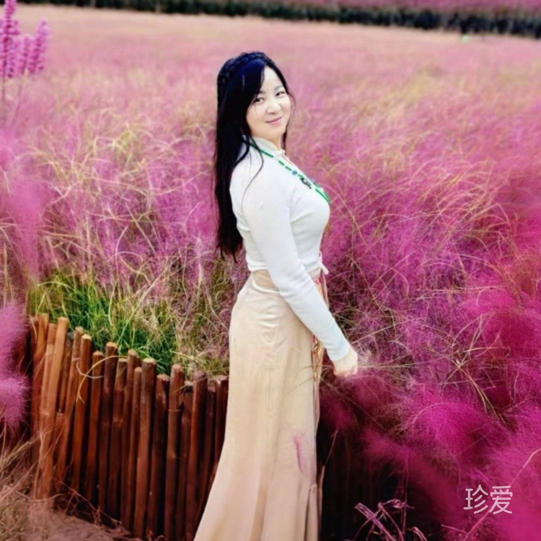 夜里孤独的玫瑰