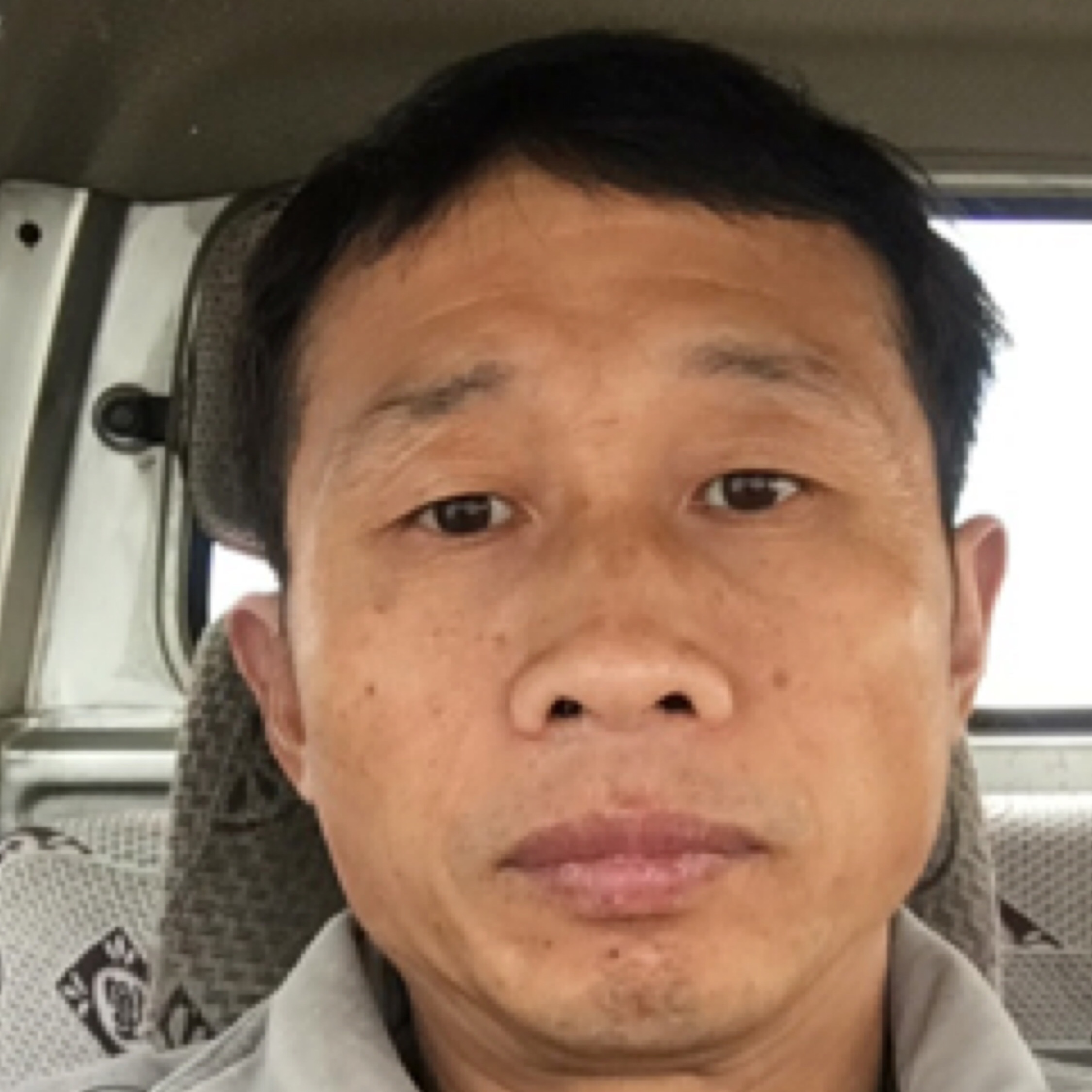 暢想的水魚(yú)