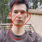 陽光燦爛