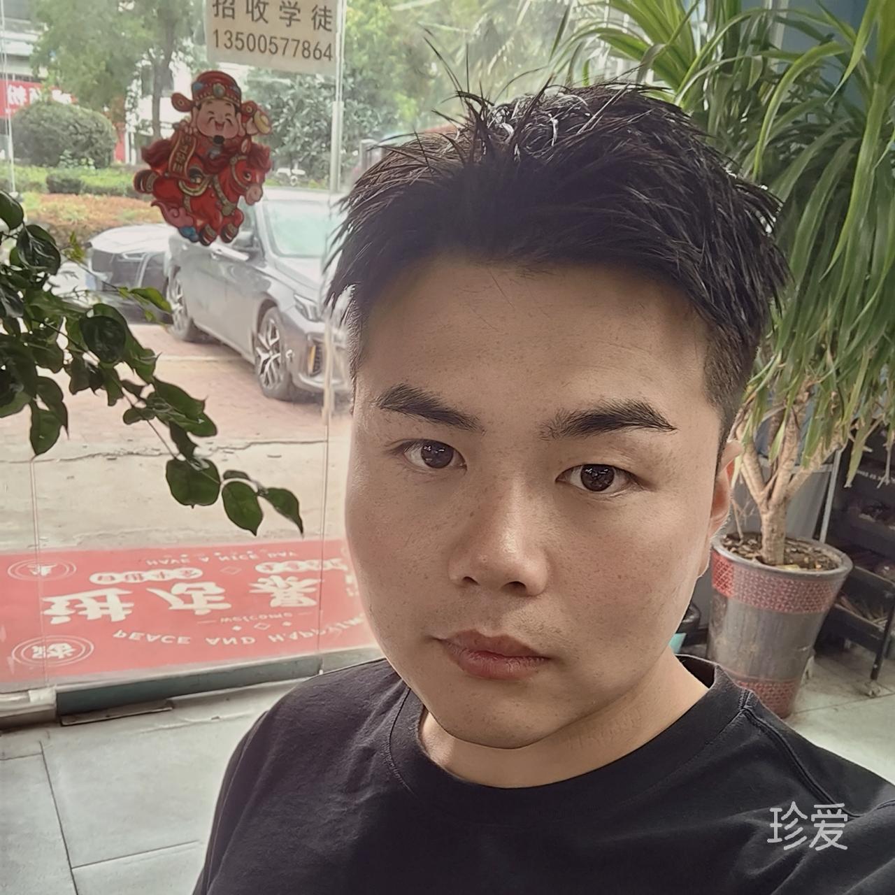 风子歌