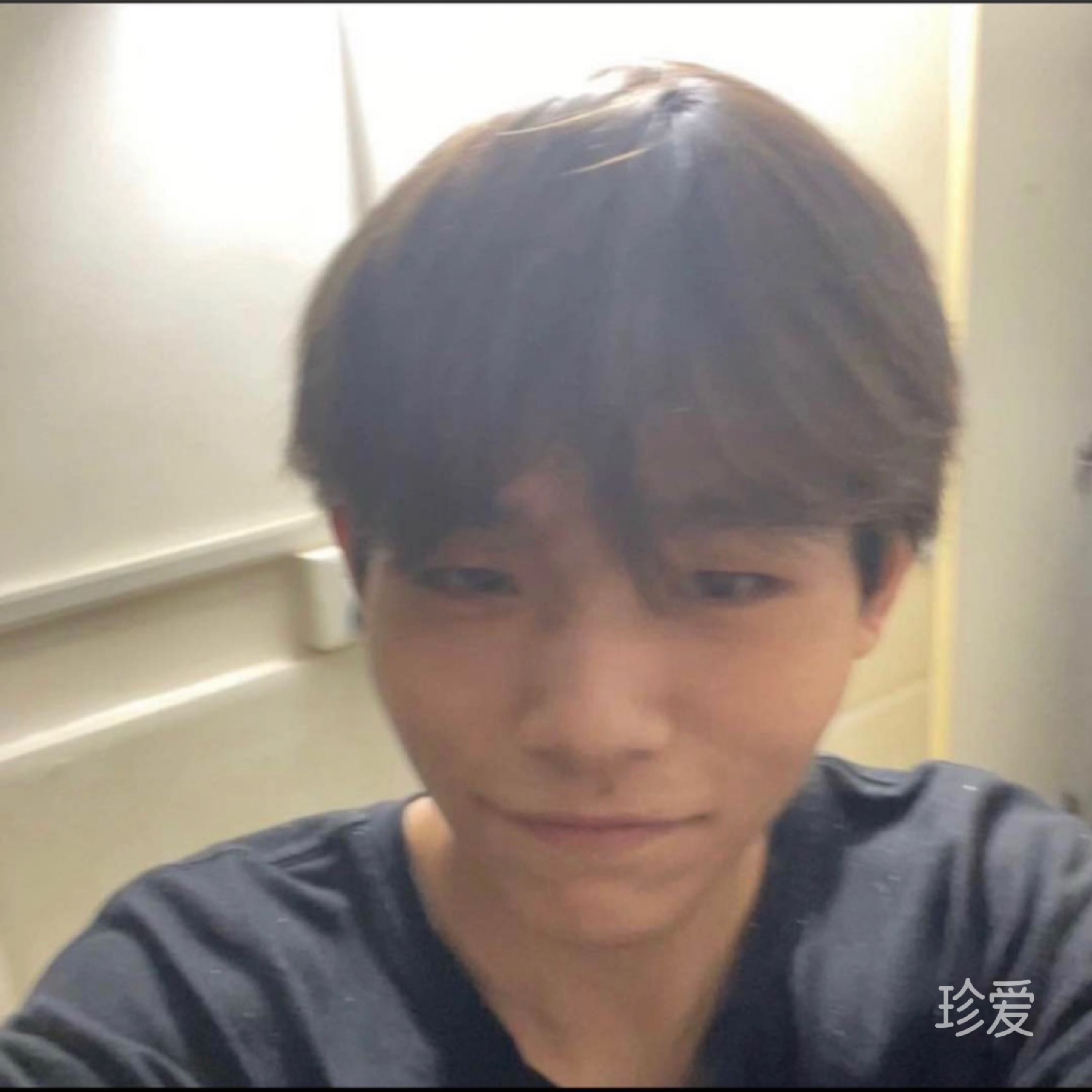 小象