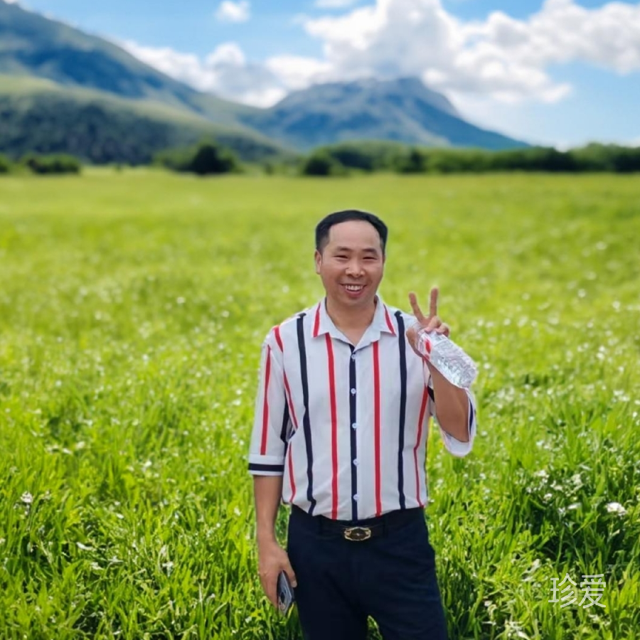 寻求真爱