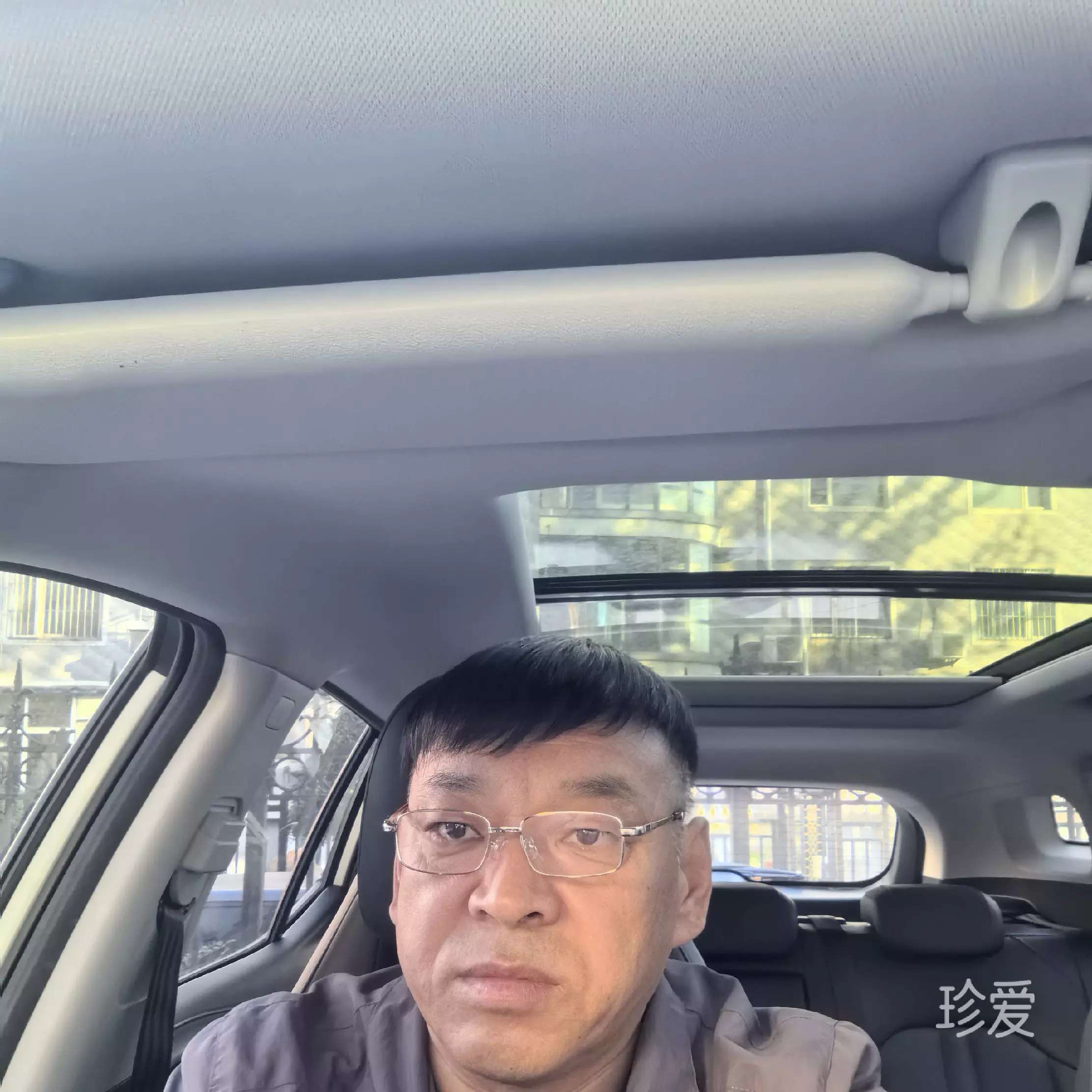 菩提无树