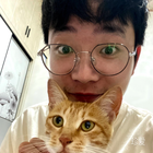 一只企鵝