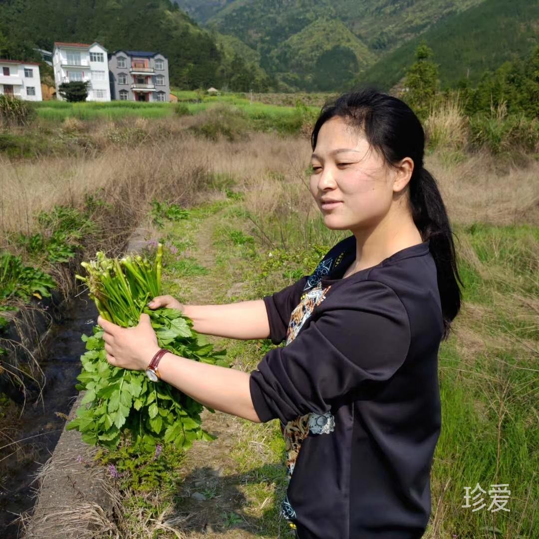 远景