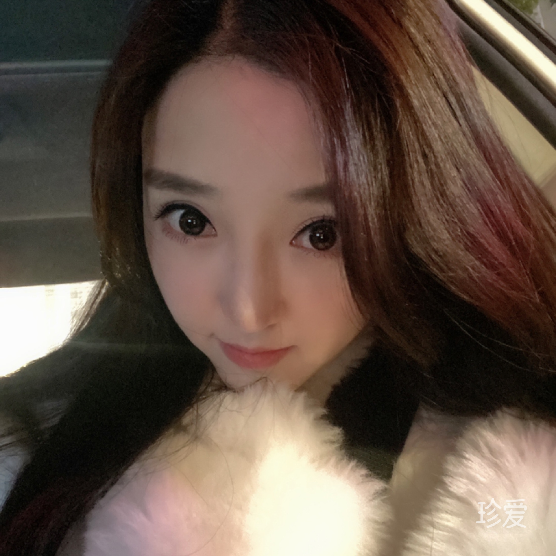 迷失的麋鹿