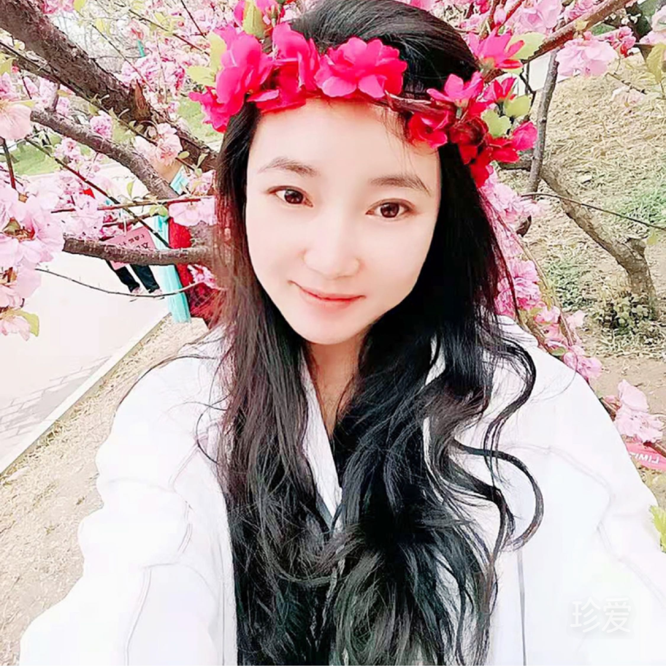 晓晓