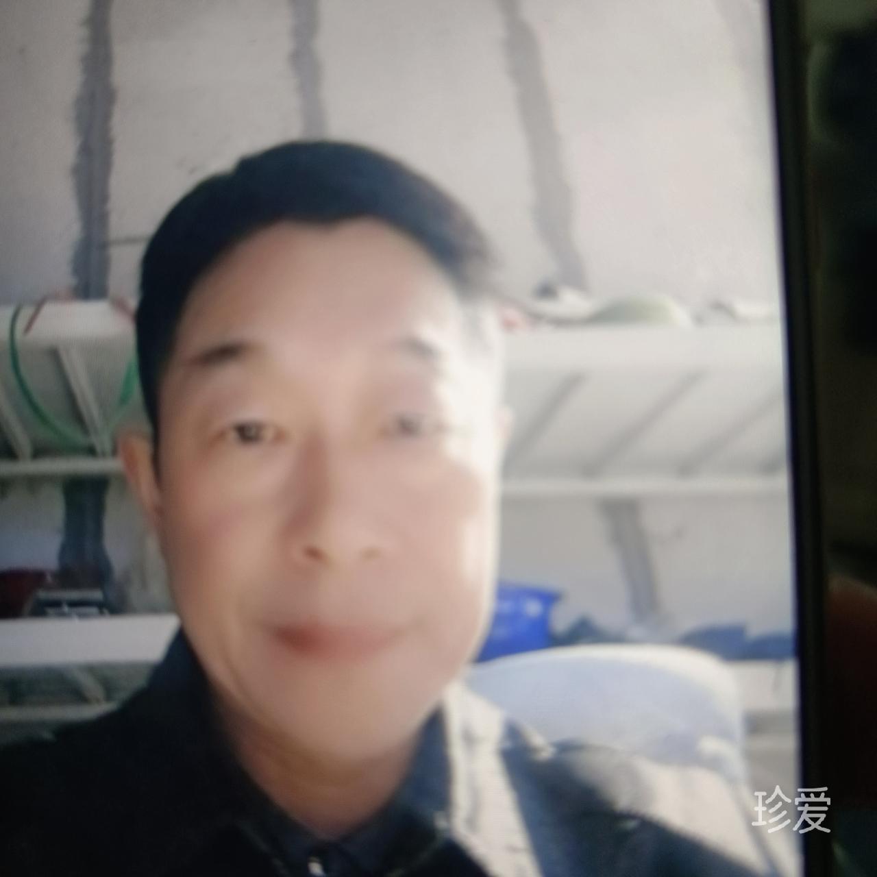 坐看枫林晚