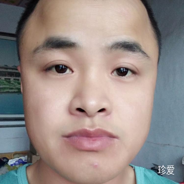 梦想努力才有未来