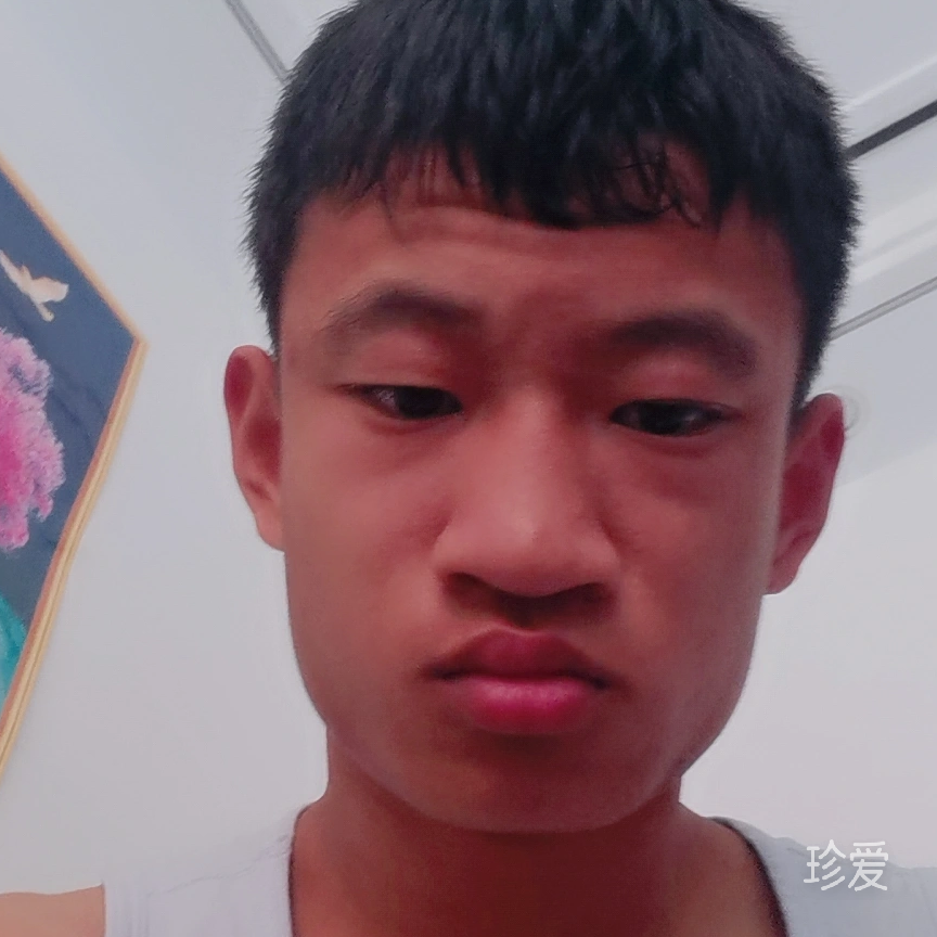 才高八头