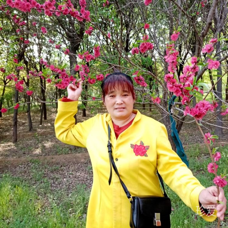 被風(fēng)吹過的夏天