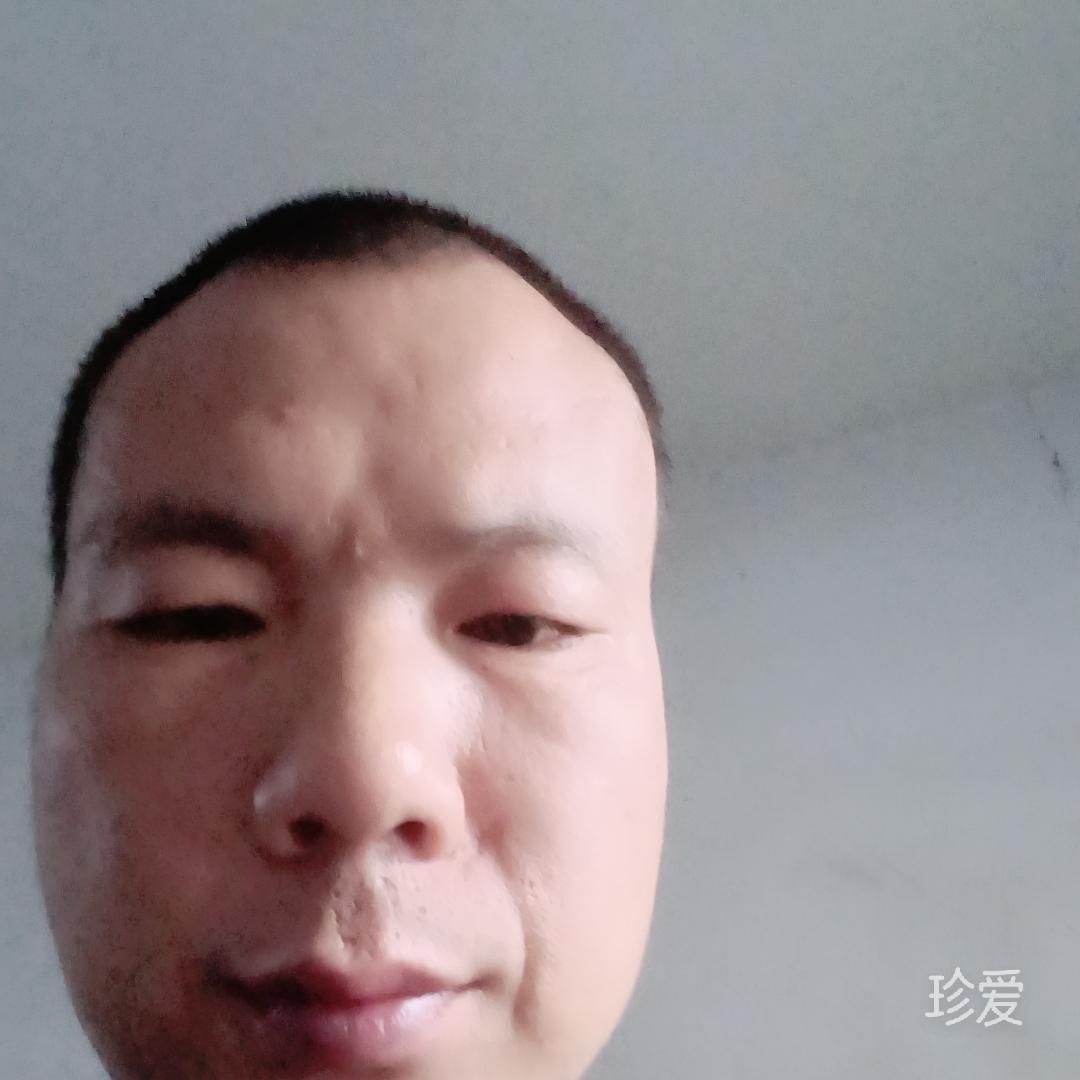 陈风