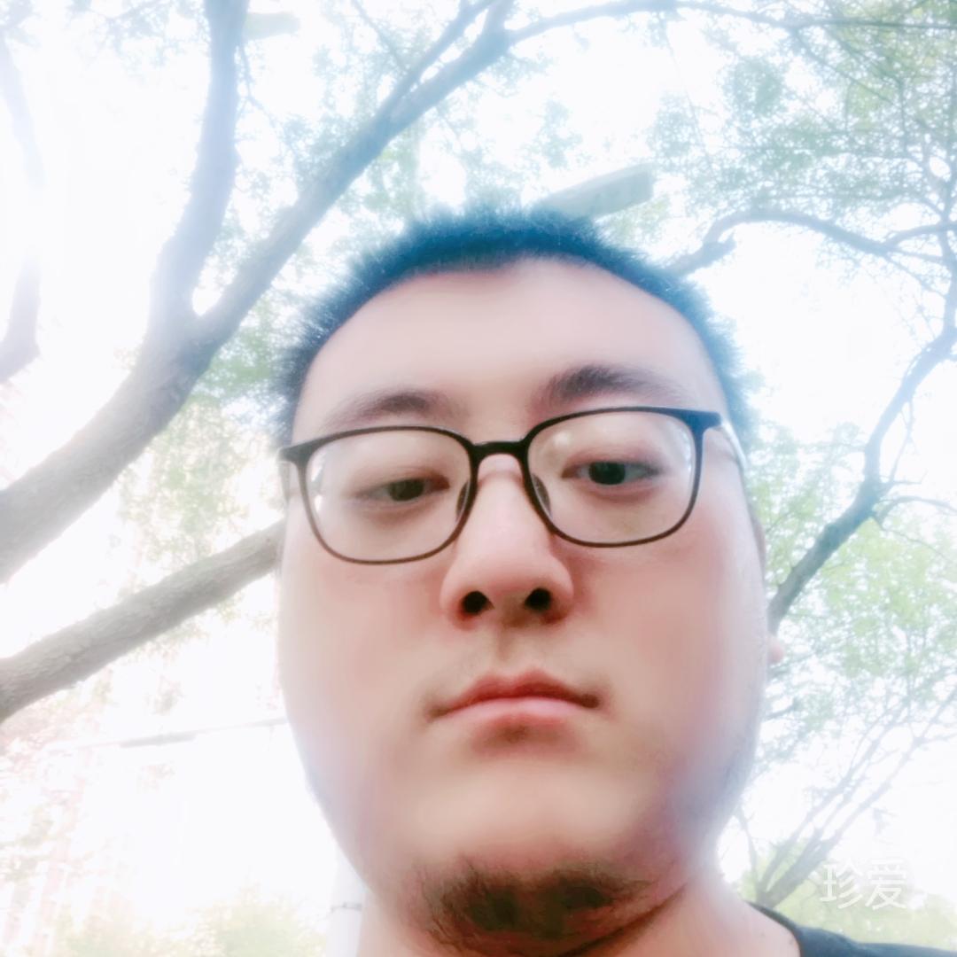 涅吉斯普林菲尔德