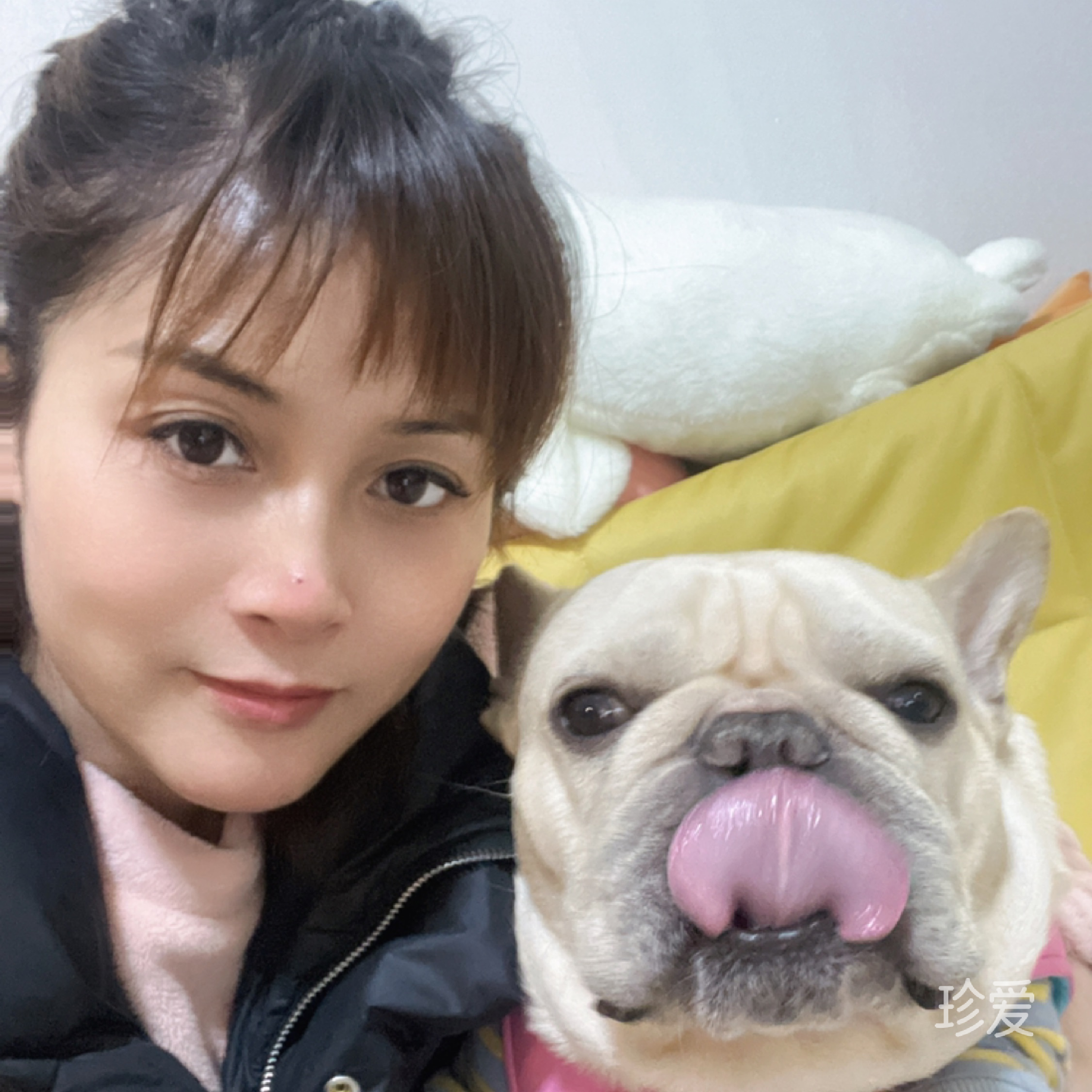 失落的叶子