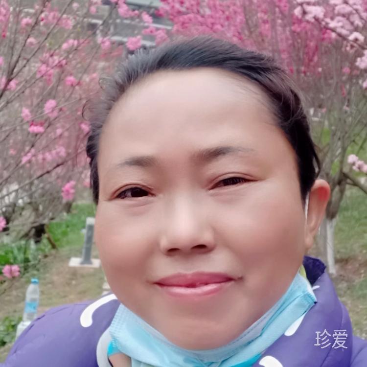 单纯的美