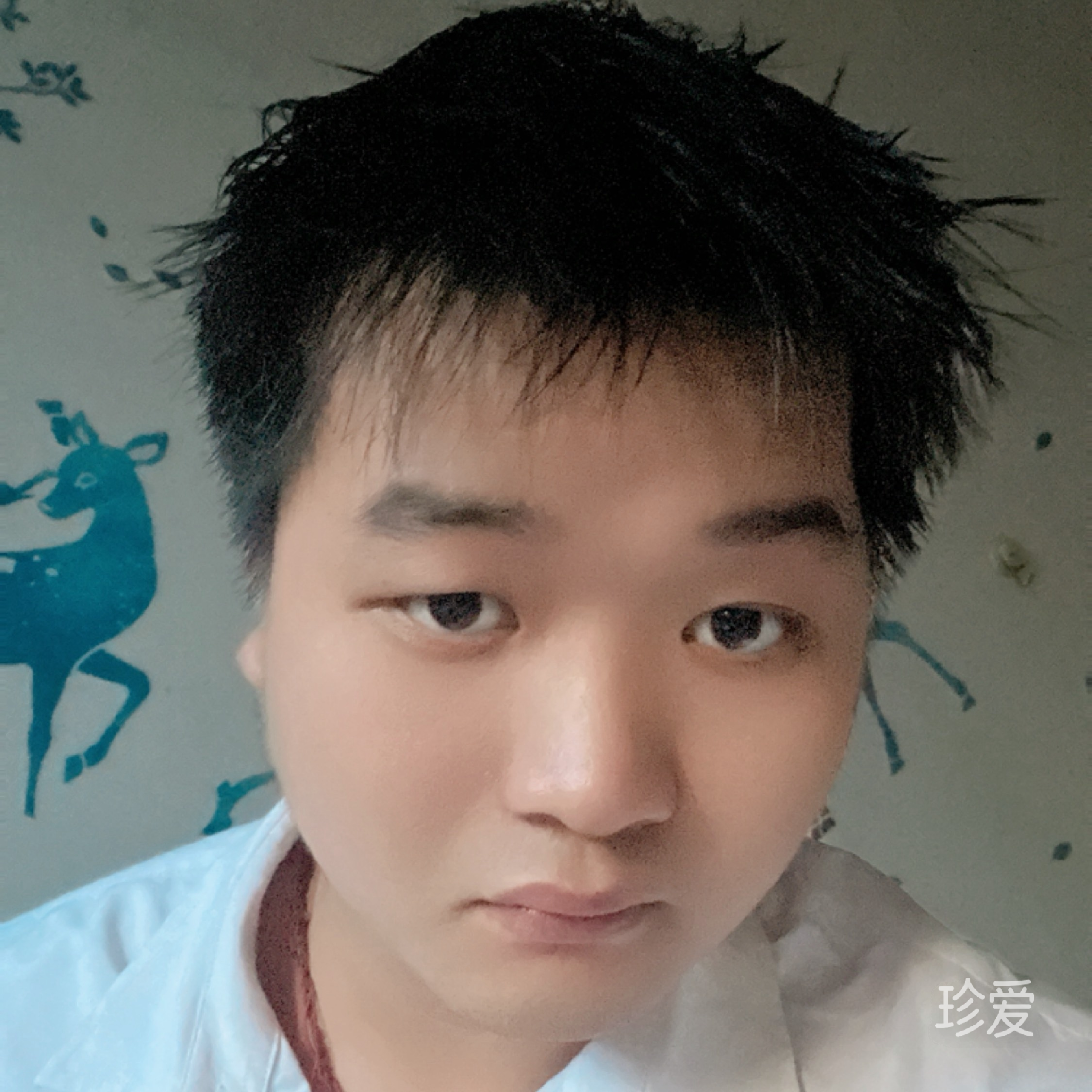 如风随影