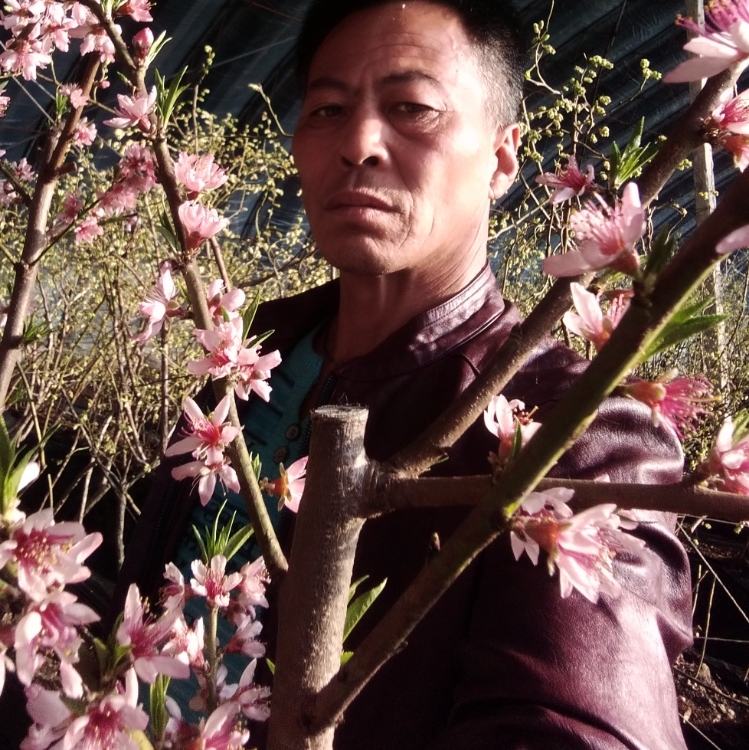 人间三千事人生路