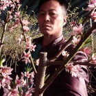 人間三千事人生路