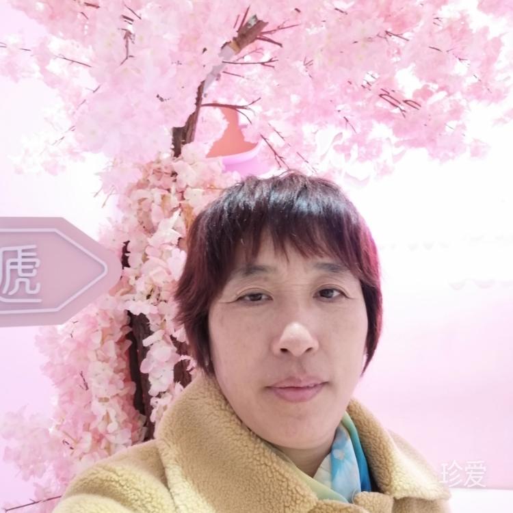 平平淡淡才是真