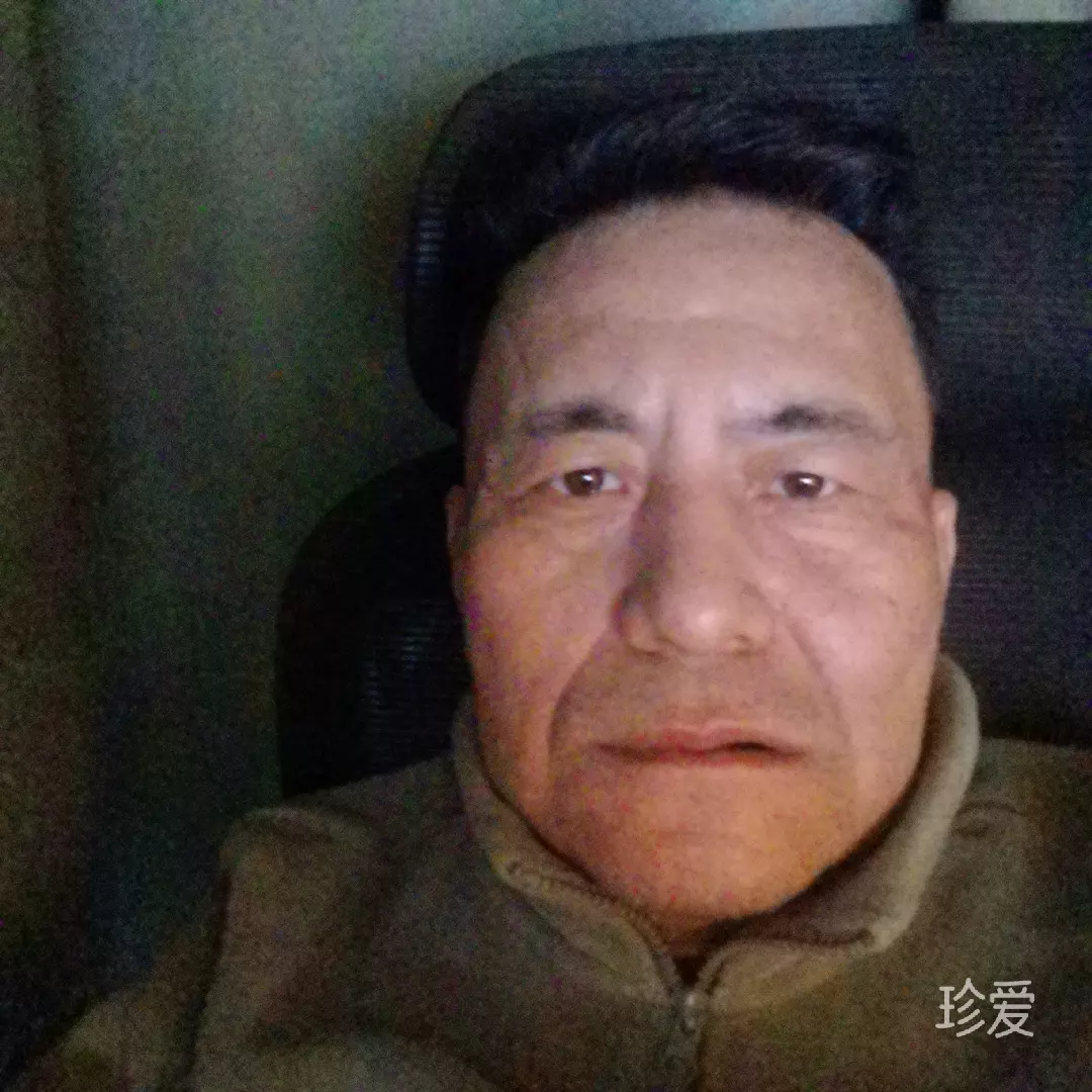 缘木求鱼
