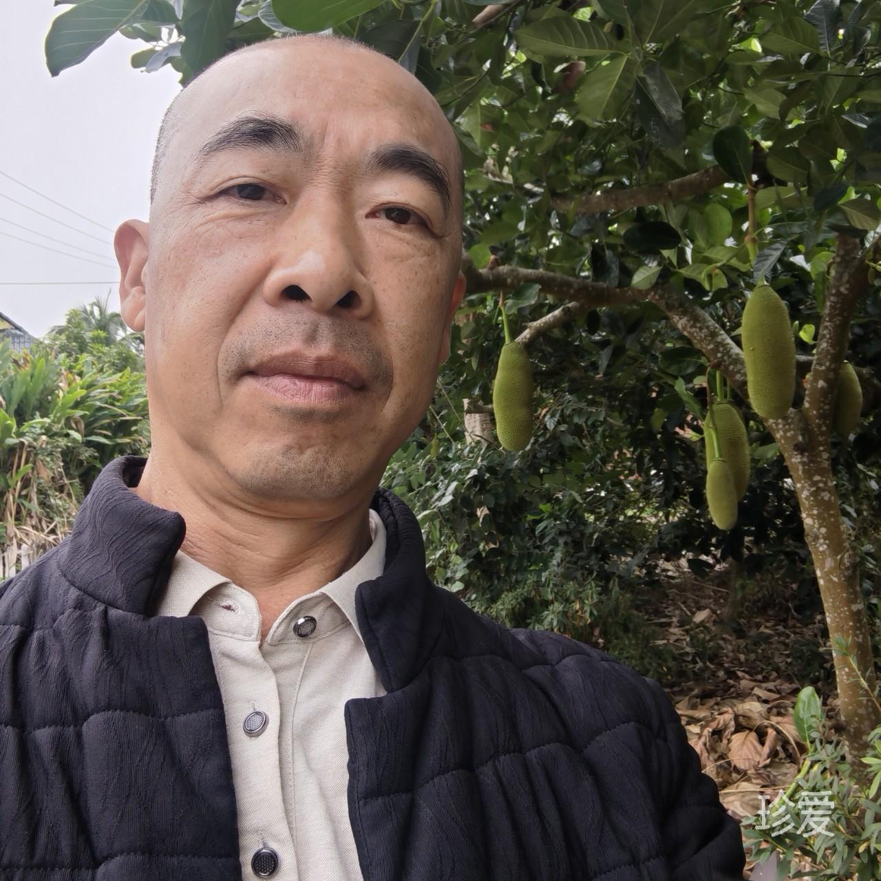 水果糖