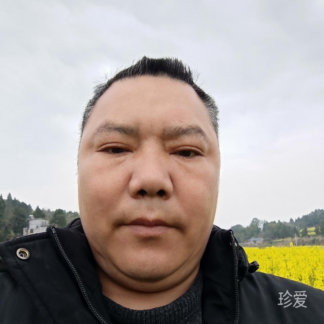 生命的过客