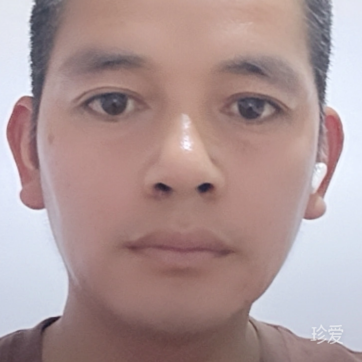 归途为爱