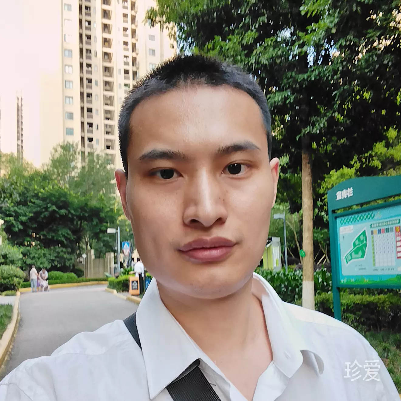 平静的等待