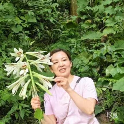雨的旋律