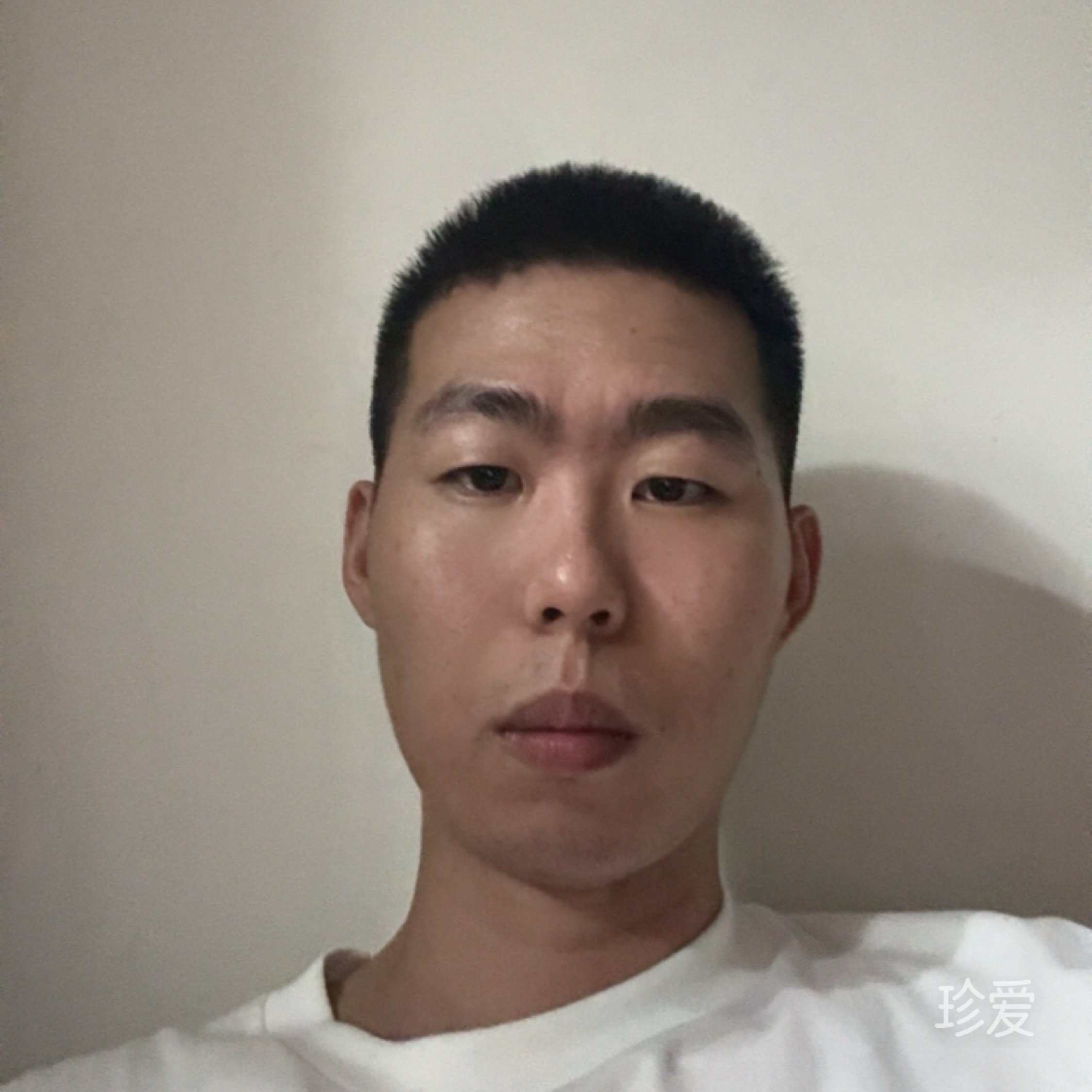 夏坷垃