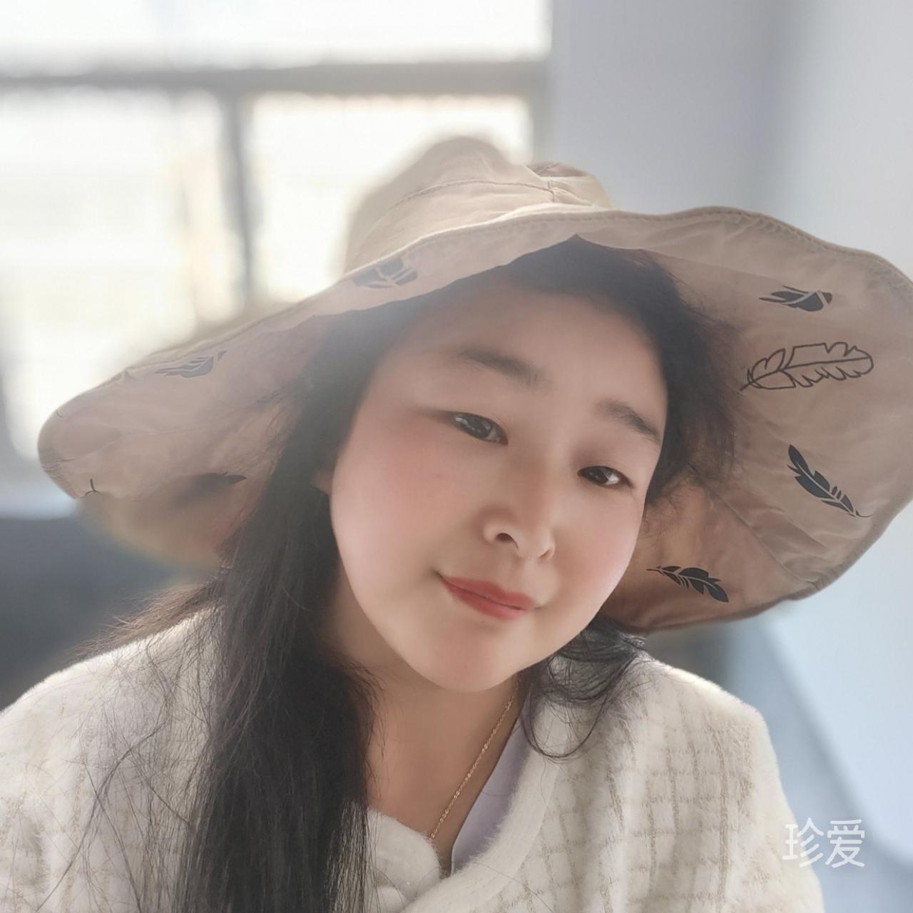 樱花下的猫
