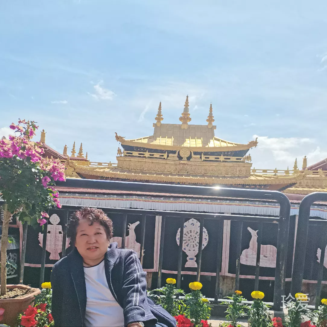 月光下的兔子