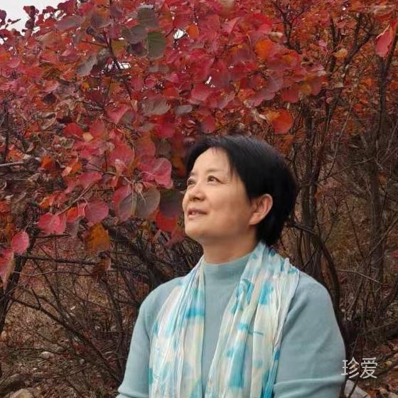 明月清风