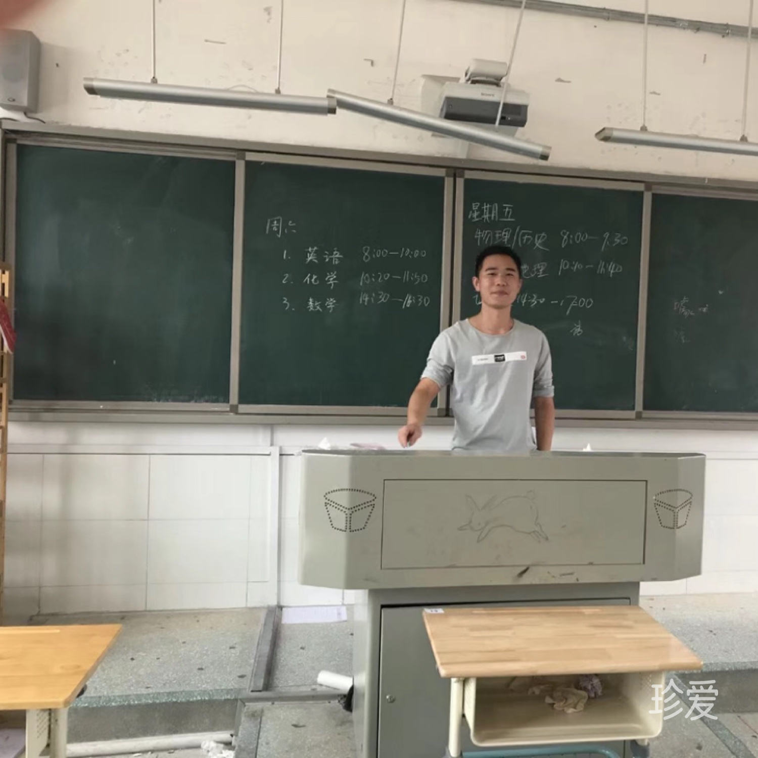 阿拉斯加不是犬