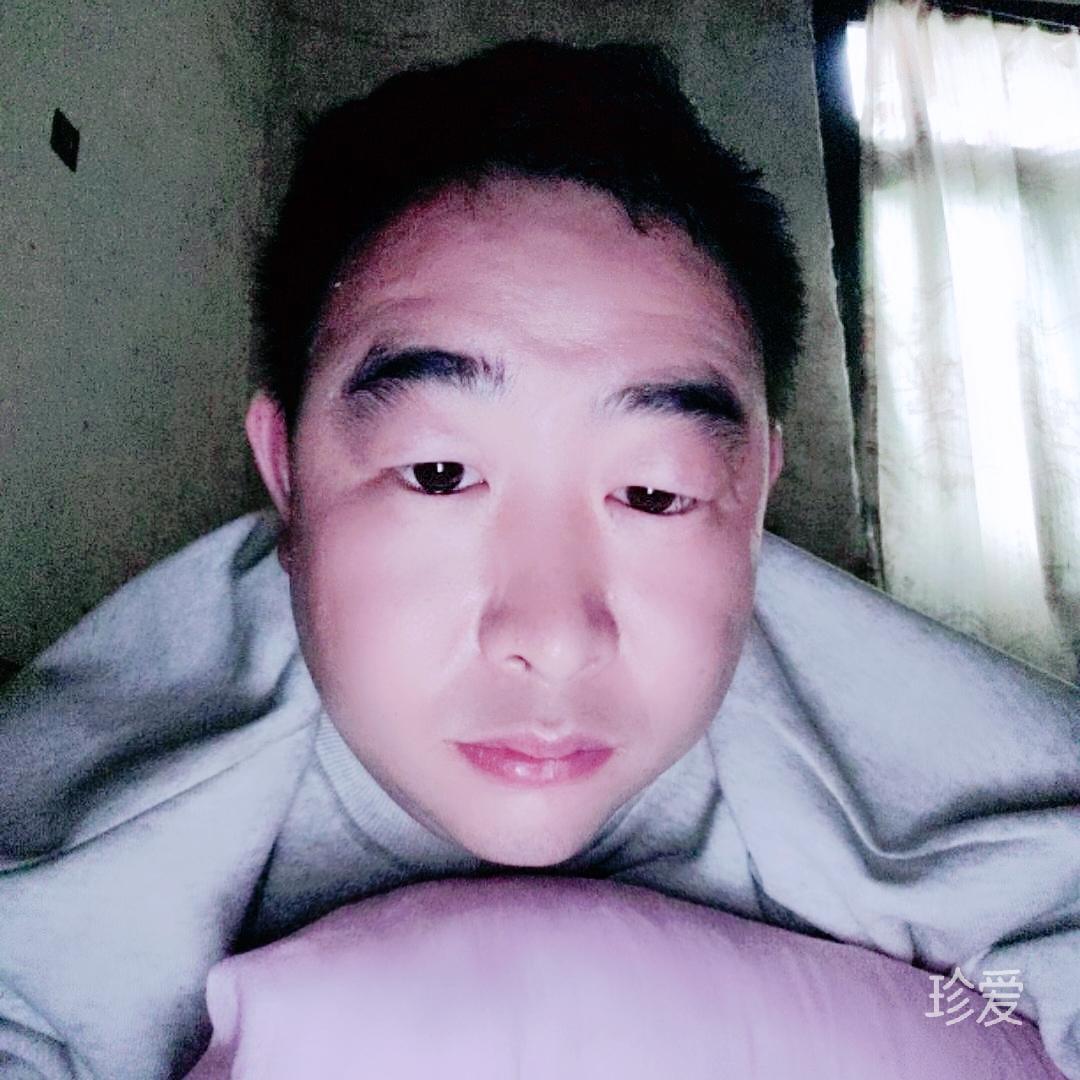 龙依