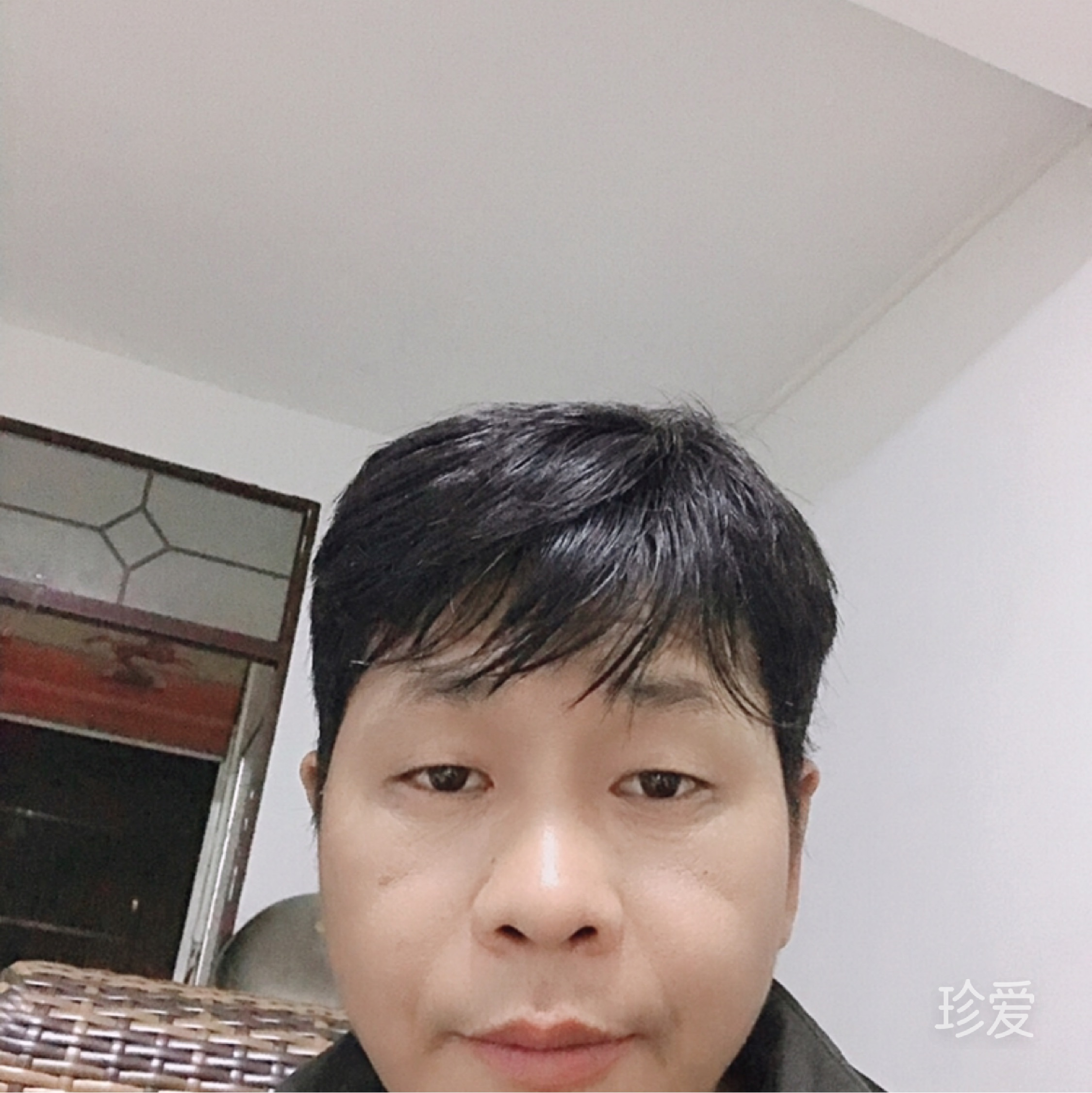 神樹(shù)的落葉