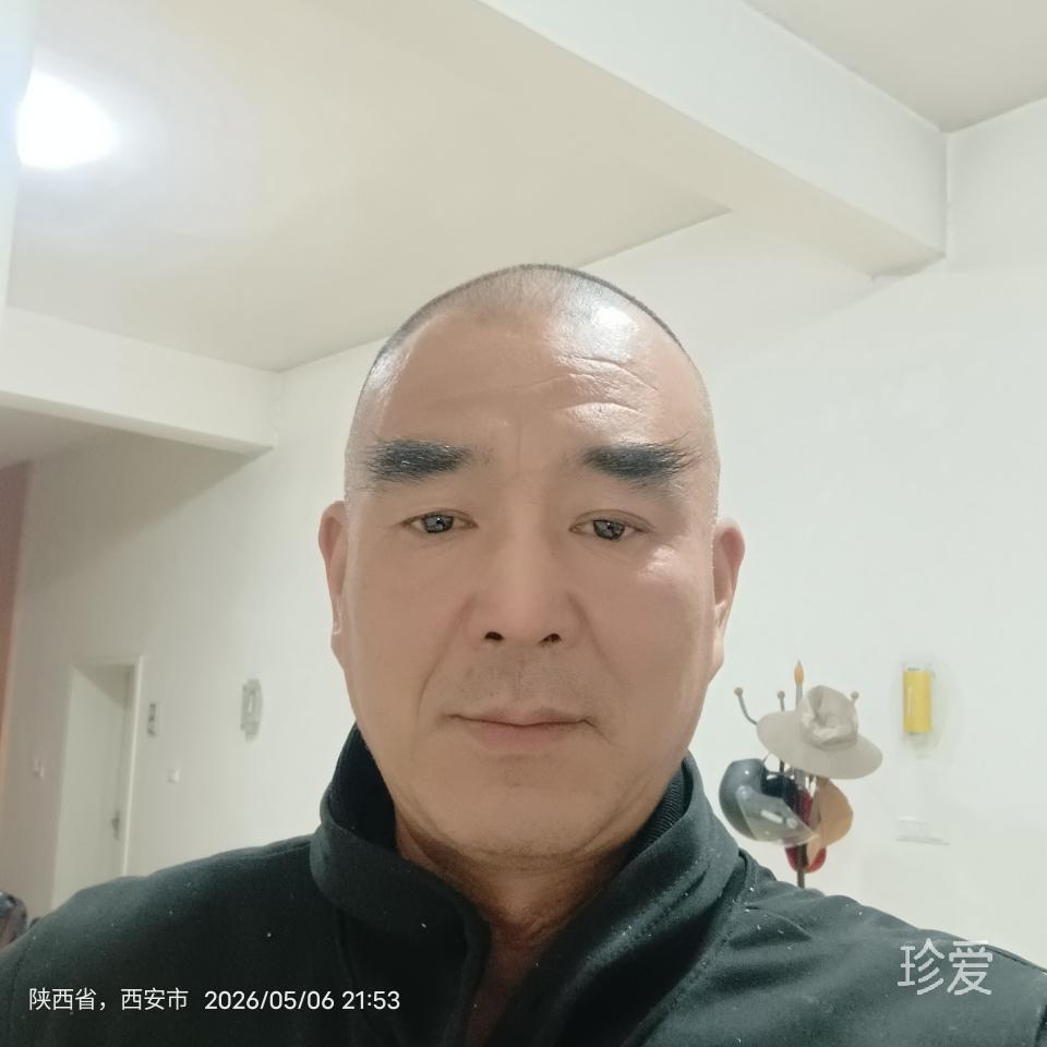 寂寞的梧桐