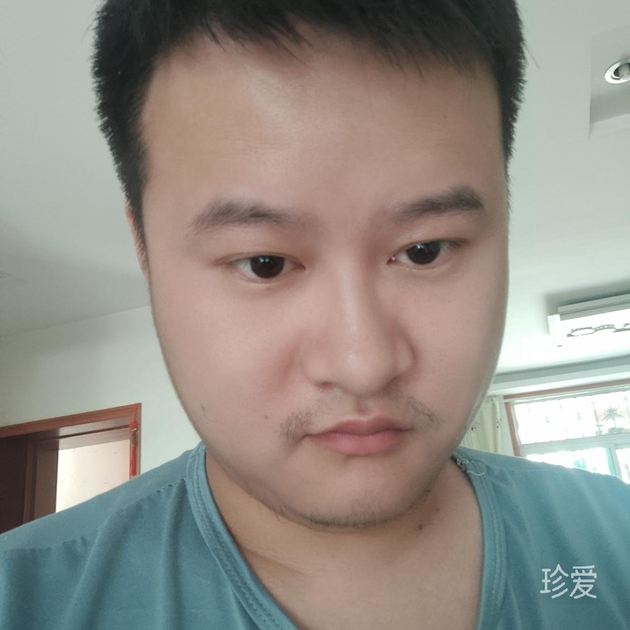 自由的飞翔
