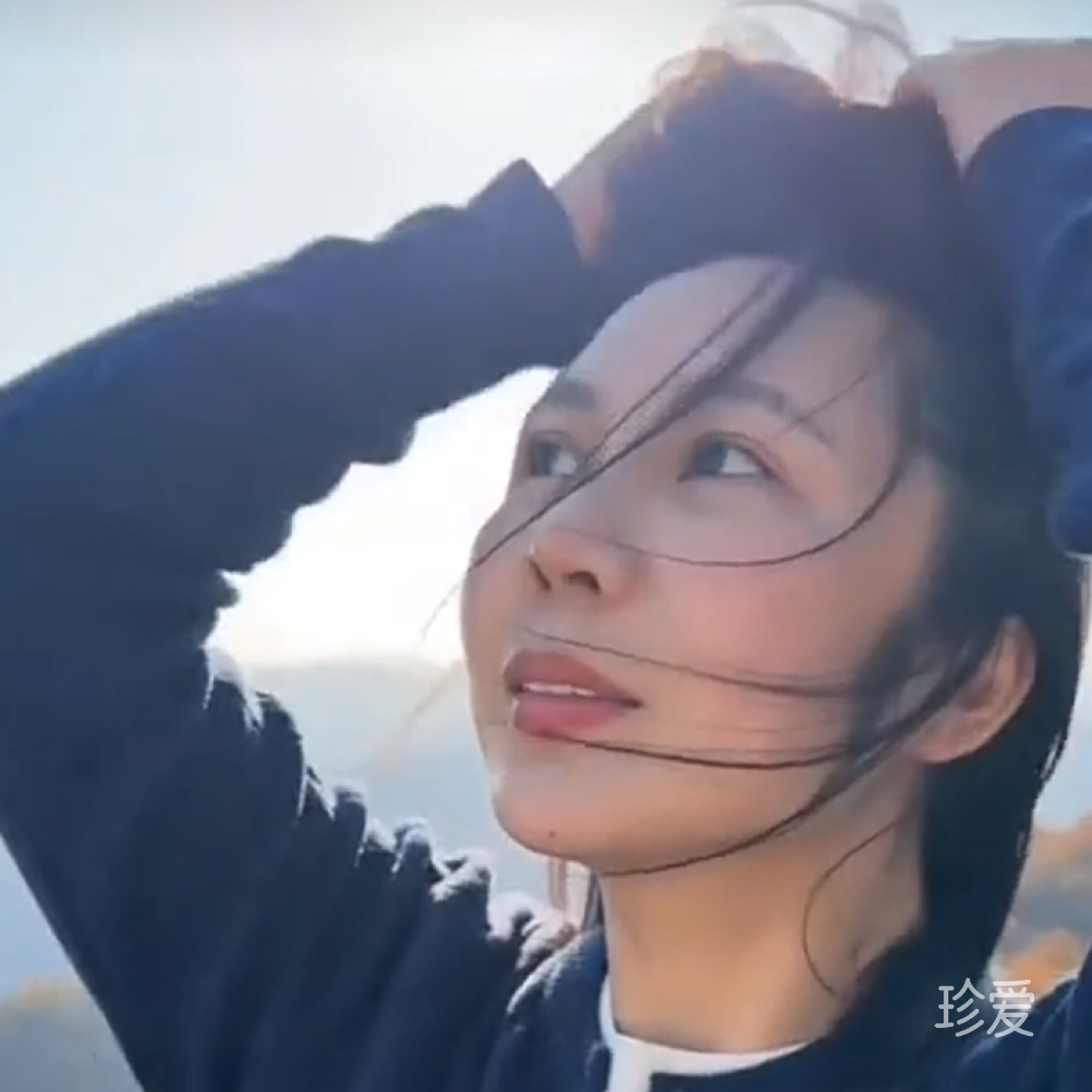 寻爰