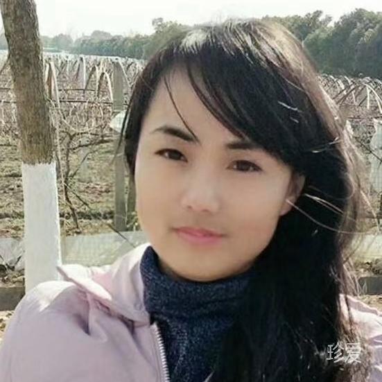 海边看日出