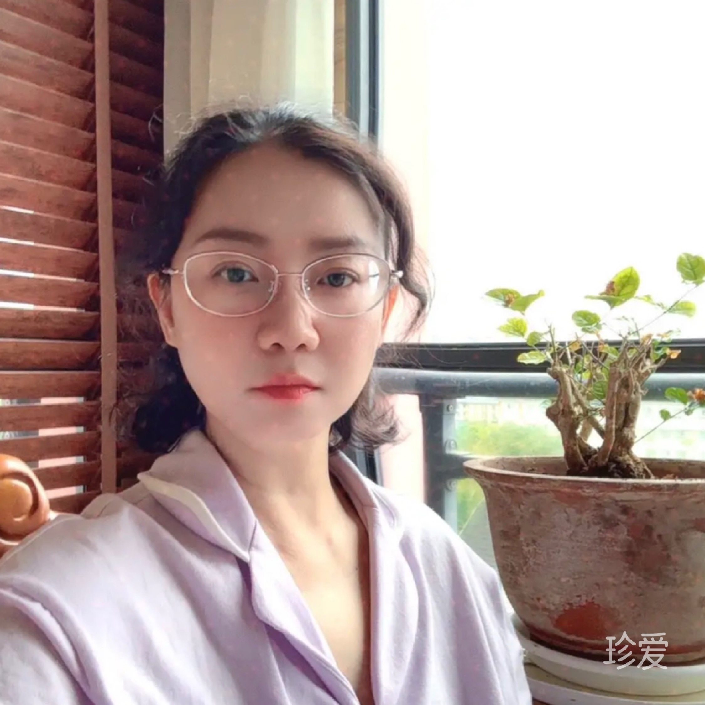 盛开的兰花