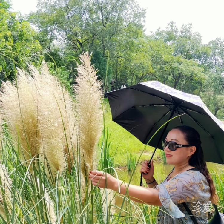 為我擋風(fēng)避雨