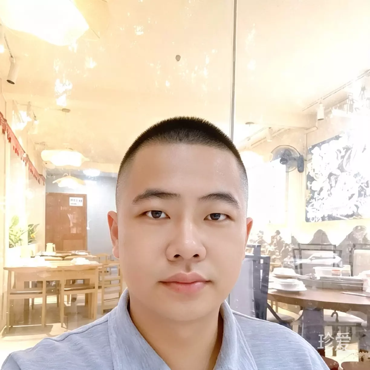 风禾尽起