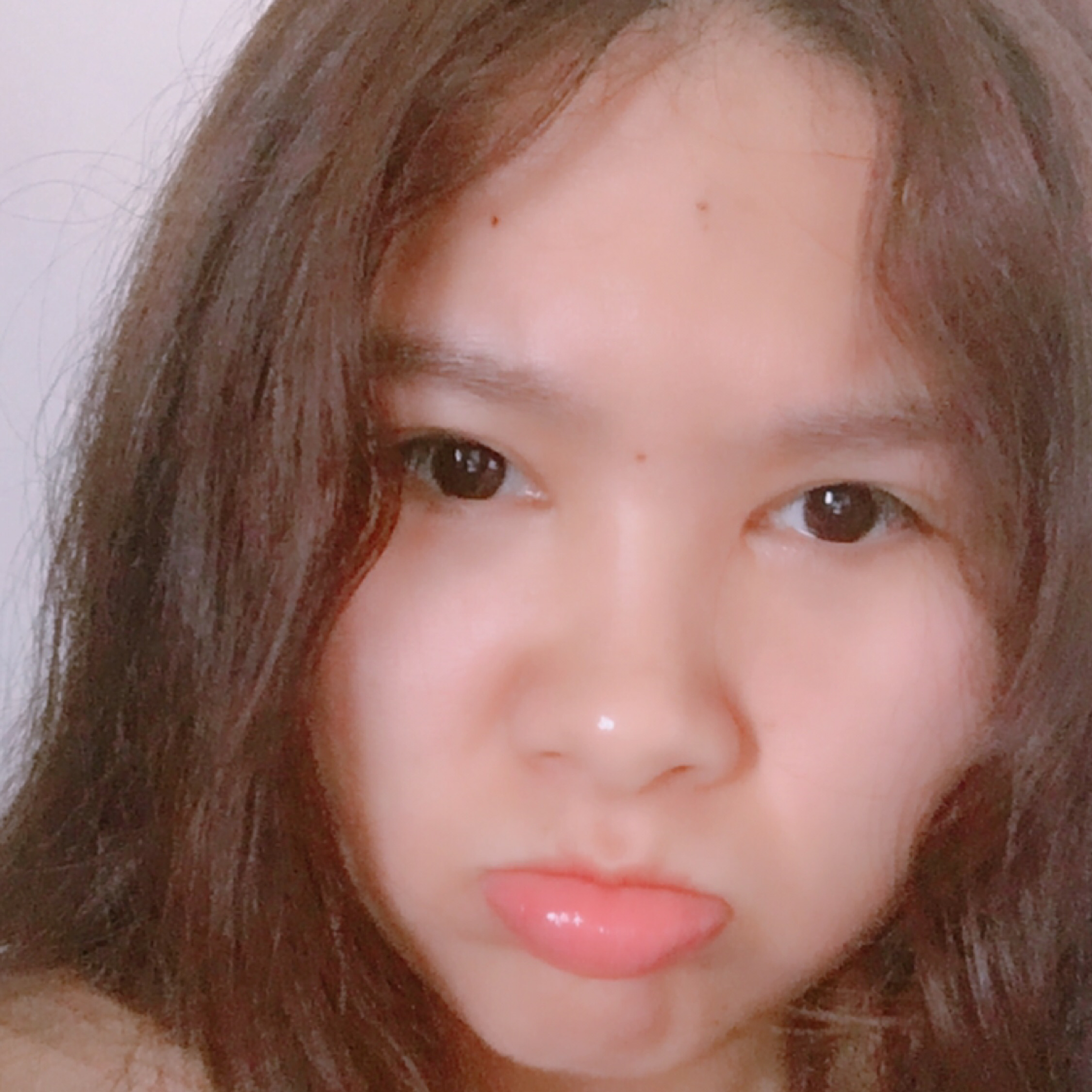 貓跟你都想了解_