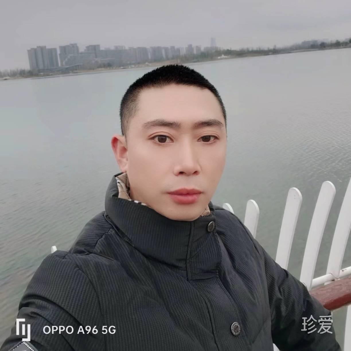 淡雅的绿叶