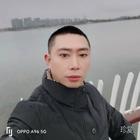 淡雅的绿叶