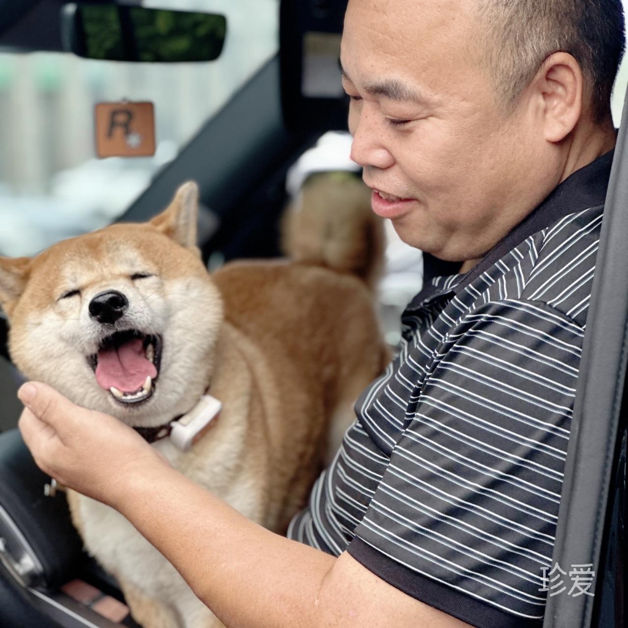 啸林山房