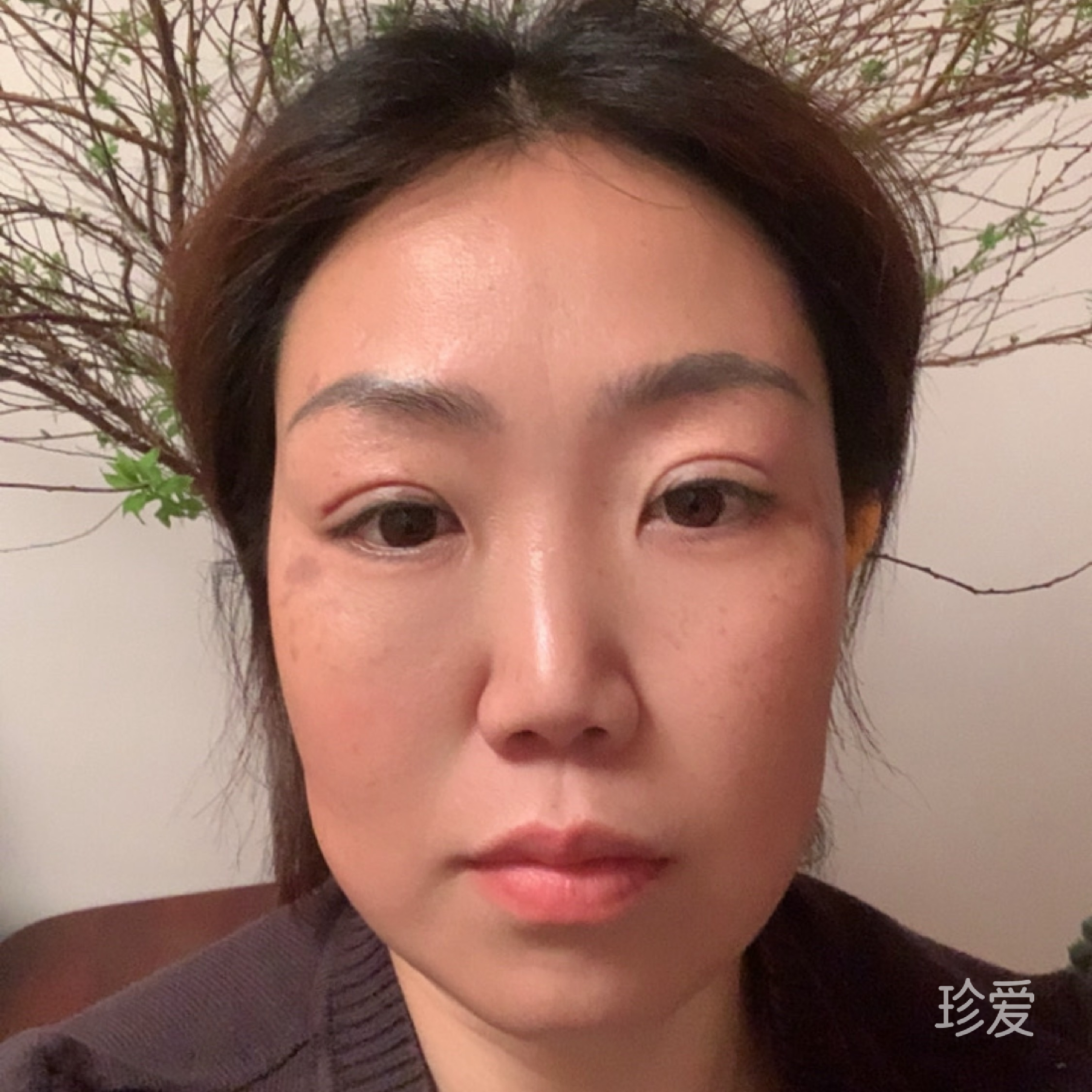蔡蔡籽