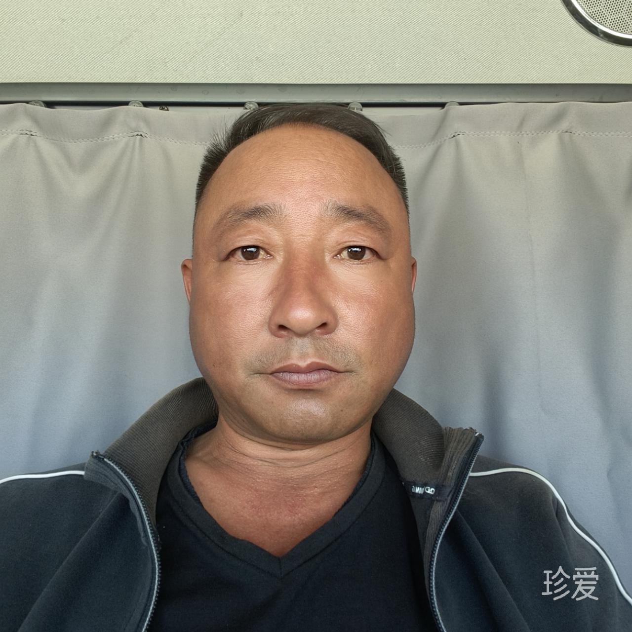 踏雪寻梅
