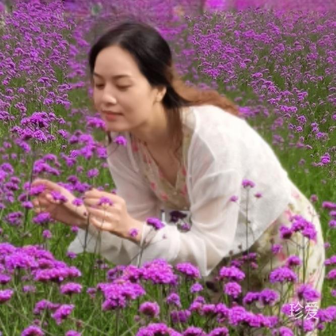 月光下的百合